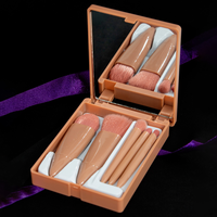 Kit 5 Pincéis de Maquiagem Rosa com Espelho